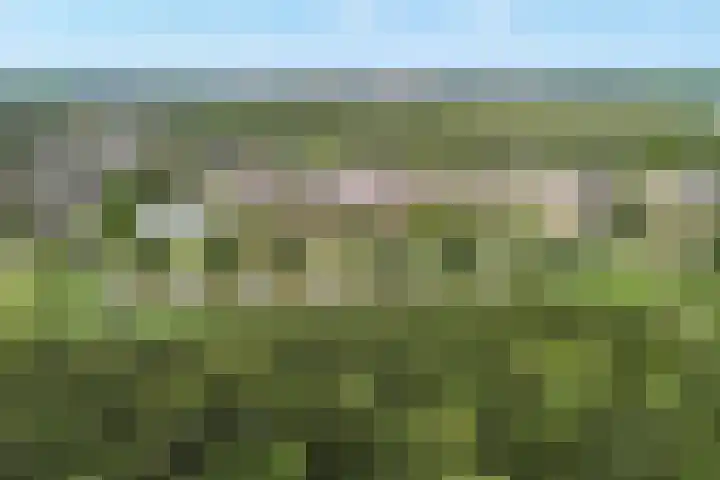 Juwelenhof 5 Almere thumbnail 43