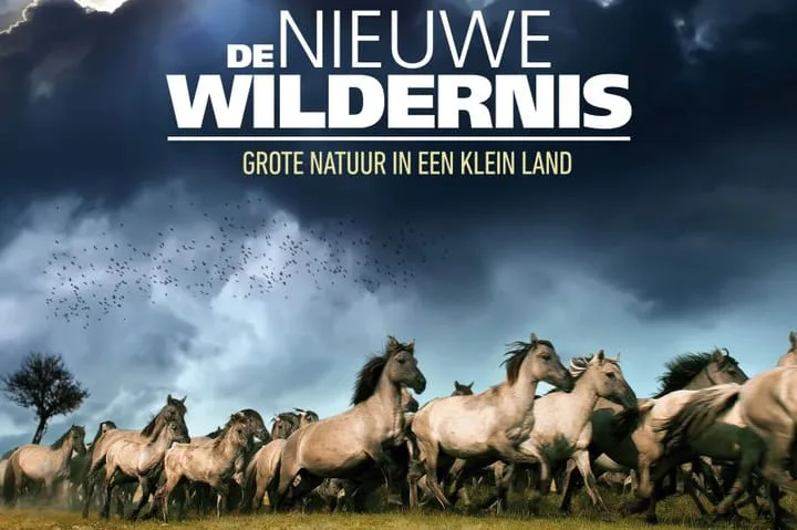 Juwelenhof 5 Almere thumbnail 49