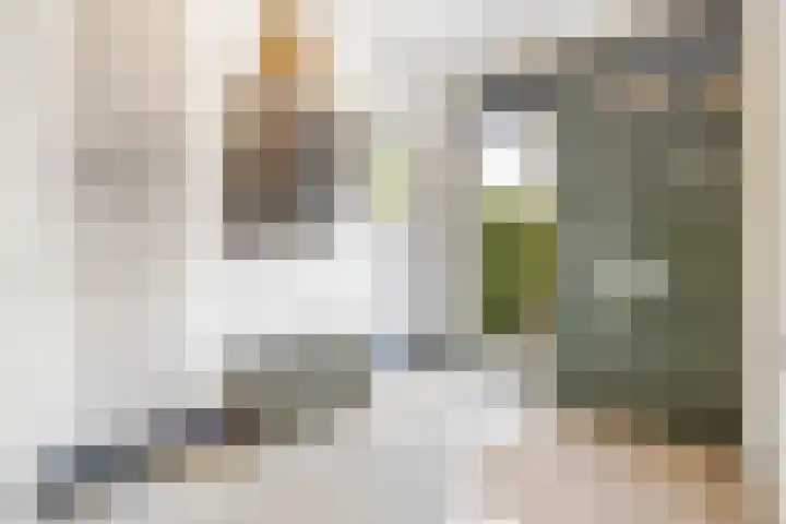 Juwelenhof 5 Almere thumbnail 5