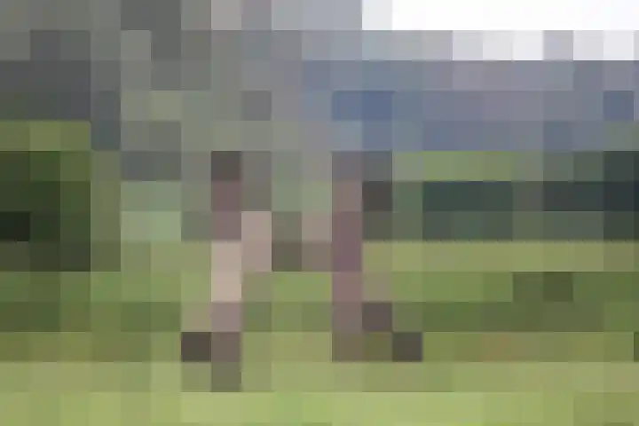 Juwelenhof 5 Almere thumbnail 52