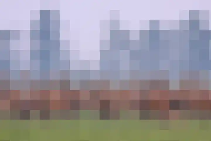 Juwelenhof 5 Almere thumbnail 54