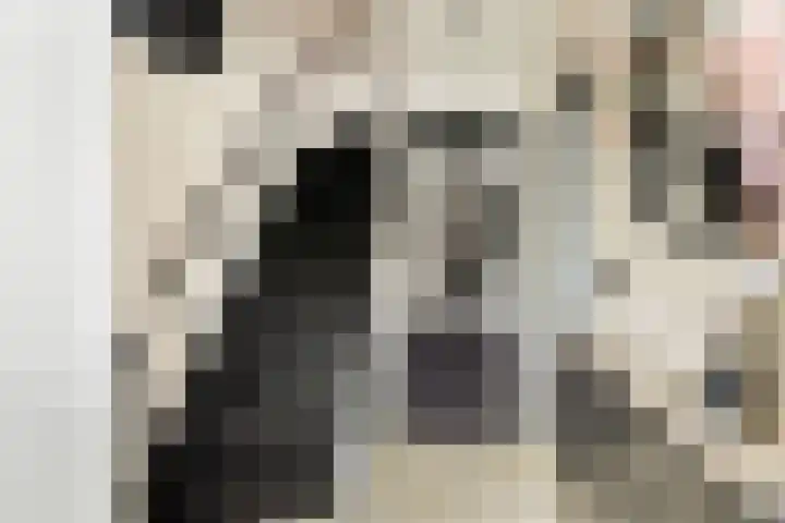 JW van Veenstraat 3 Heemskerk thumbnail 19