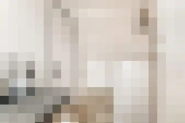 JW van Veenstraat 3 Heemskerk thumbnail 30