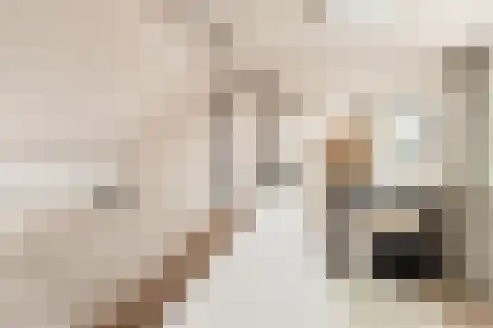 JW van Veenstraat 3 Heemskerk thumbnail 33