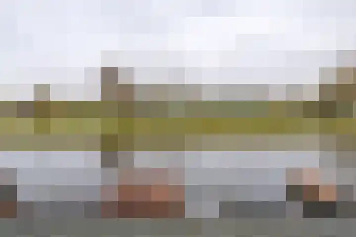 Jynkade 6 Leeuwarden thumbnail 31
