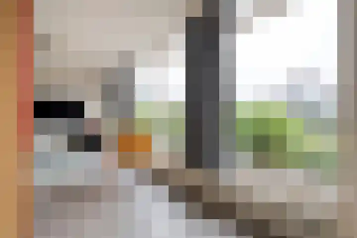 K.C. van der Wolfpark 13 Wanneperveen thumbnail 16