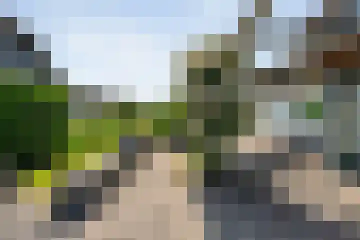 K.C. van der Wolfpark 13 Wanneperveen thumbnail 29