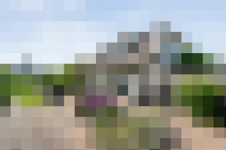 K.C. van der Wolfpark 13 Wanneperveen thumbnail 30