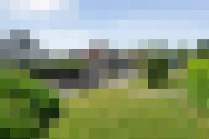 K.C. van der Wolfpark 13 Wanneperveen thumbnail 31