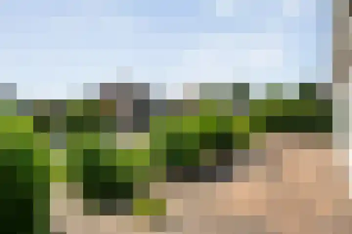 K.C. van der Wolfpark 13 Wanneperveen thumbnail 32