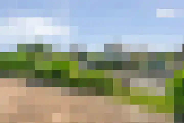 K.C. van der Wolfpark 13 Wanneperveen thumbnail 33