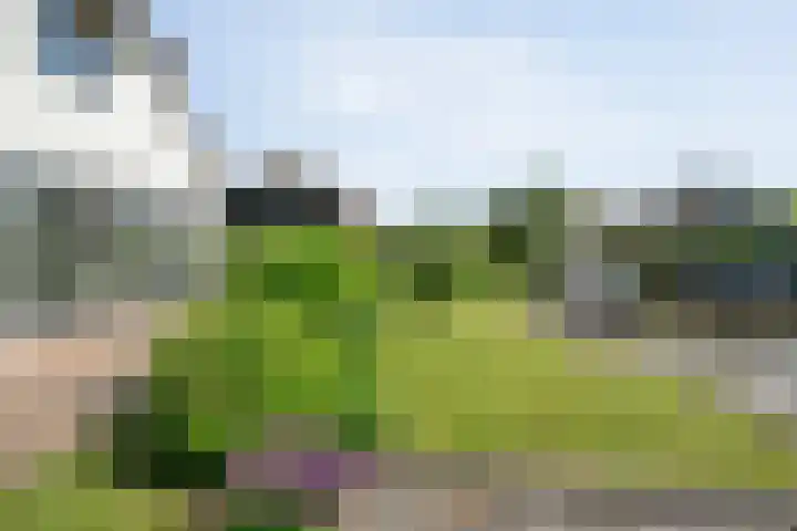 K.C. van der Wolfpark 13 Wanneperveen thumbnail 34