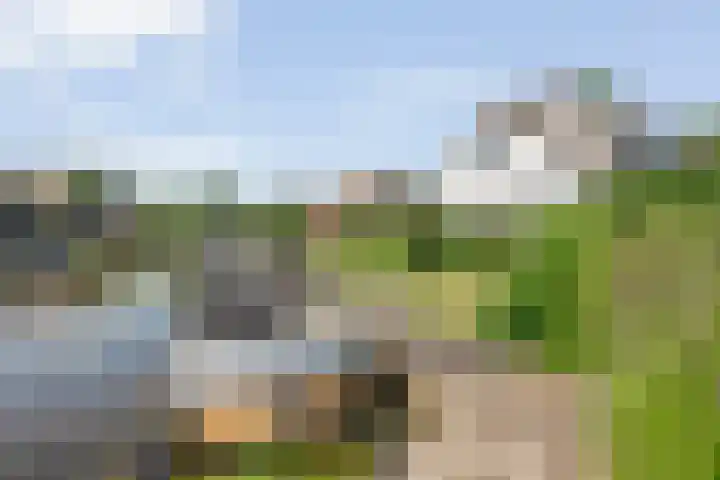 K.C. van der Wolfpark 13 Wanneperveen thumbnail 37