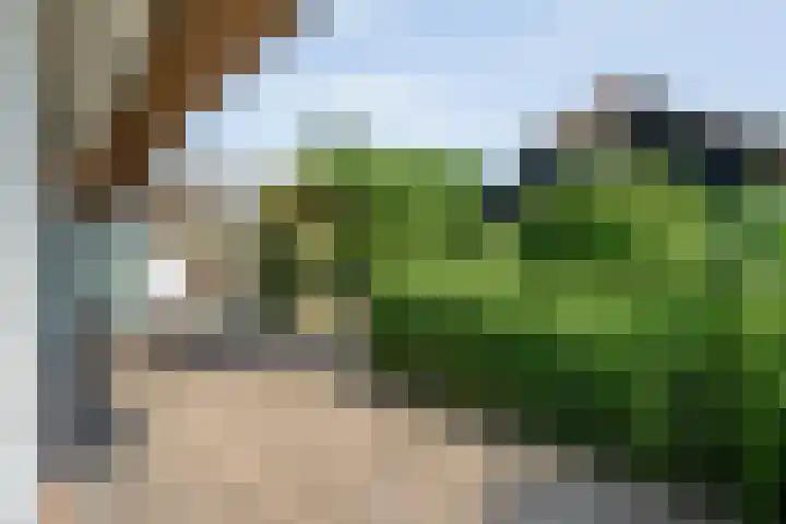 K.C. van der Wolfpark 13 Wanneperveen thumbnail 4