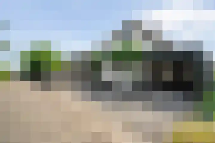 K.C. van der Wolfpark 13 Wanneperveen thumbnail 9