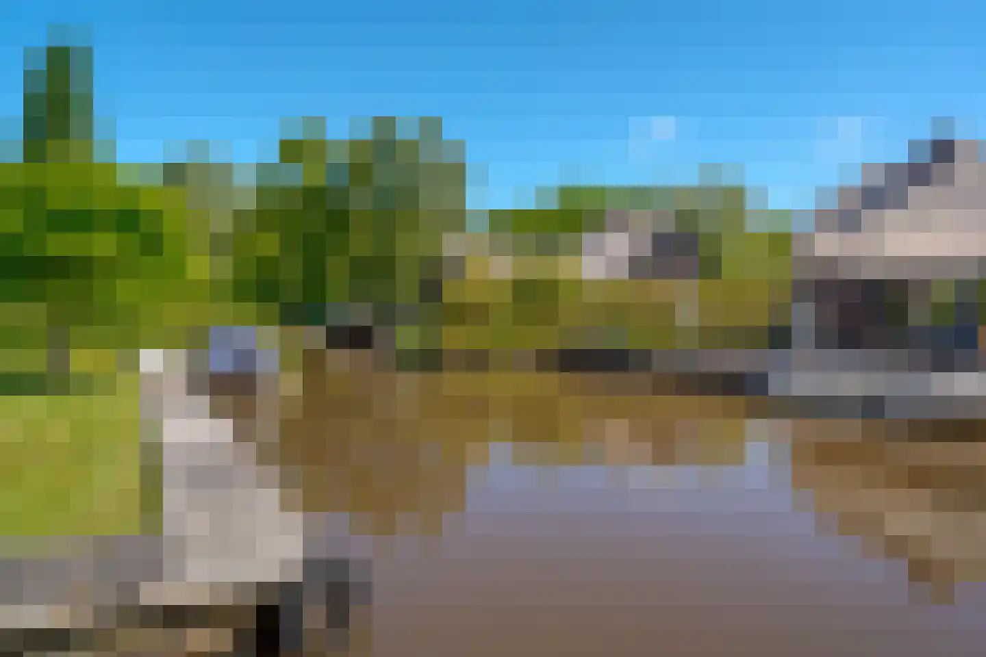 K.C. van der Wolfpark 7 Wanneperveen thumbnail 21