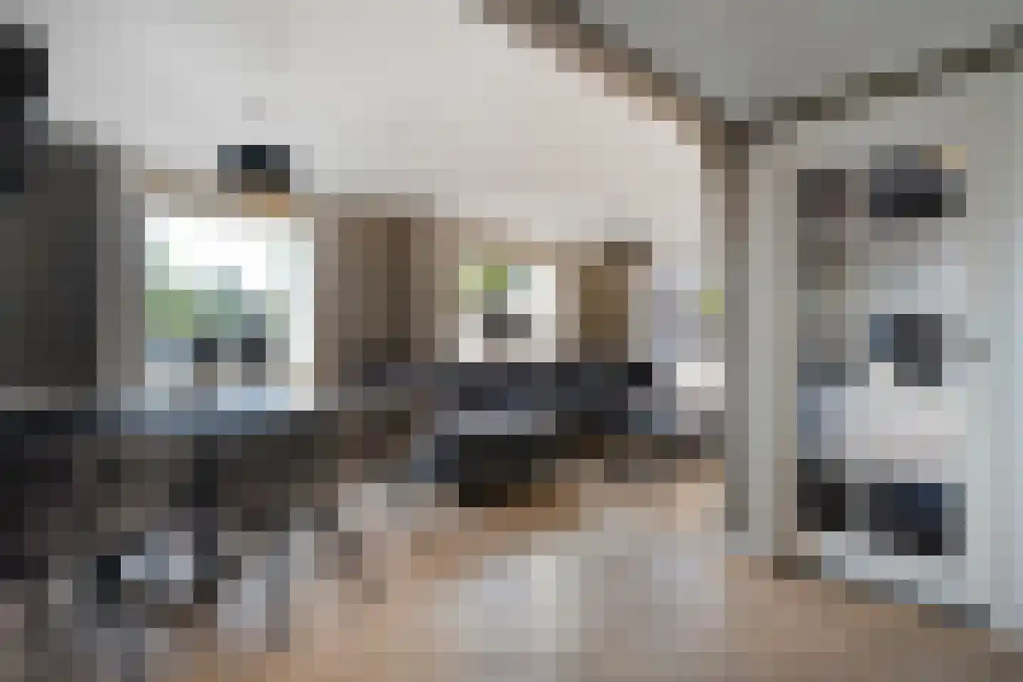 K de Raadstraat 27 Hoogeveen thumbnail 22