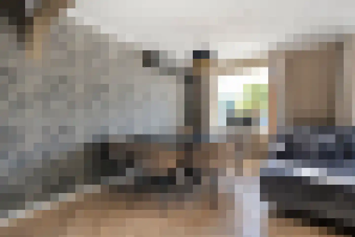 K de Raadstraat 27 Hoogeveen thumbnail 23
