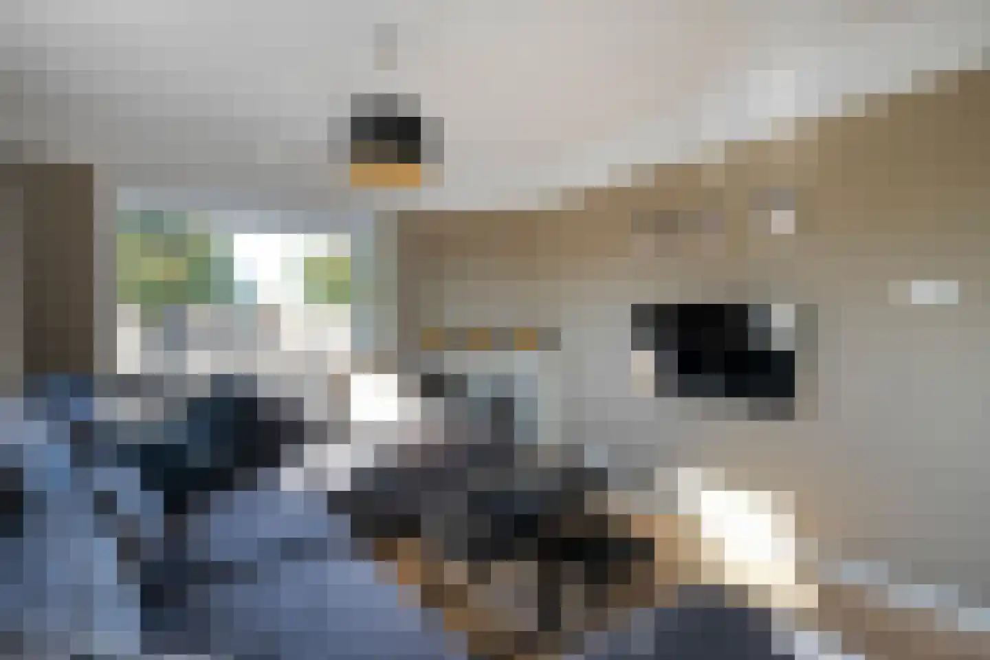 K de Raadstraat 27 Hoogeveen thumbnail 25