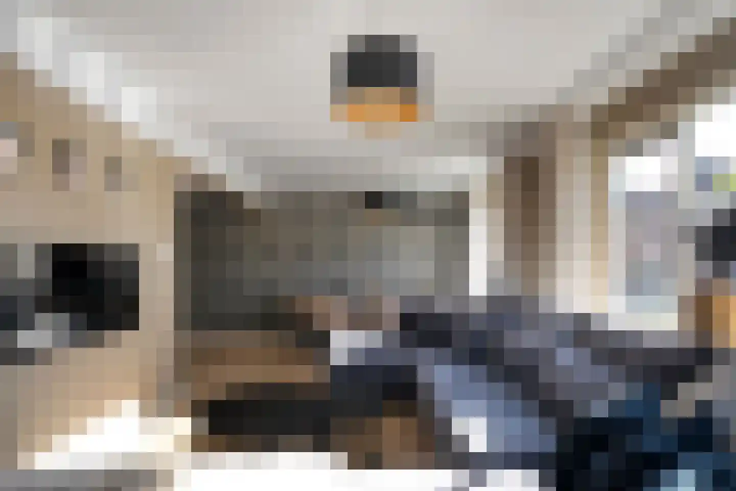 K de Raadstraat 27 Hoogeveen thumbnail 28