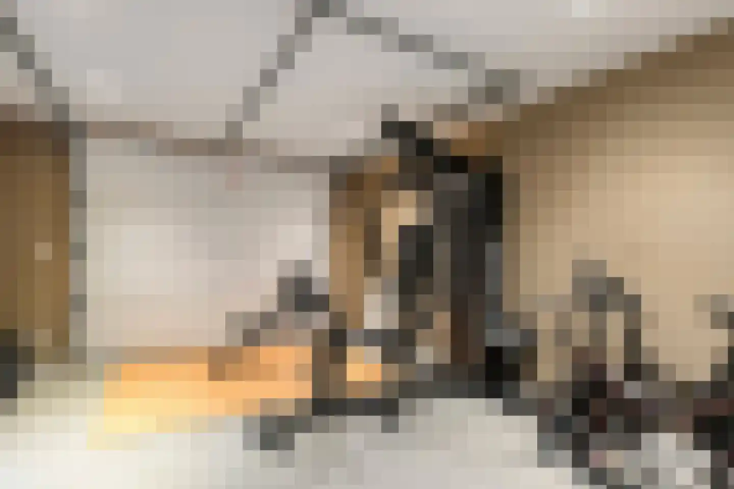 K de Raadstraat 27 Hoogeveen thumbnail 4