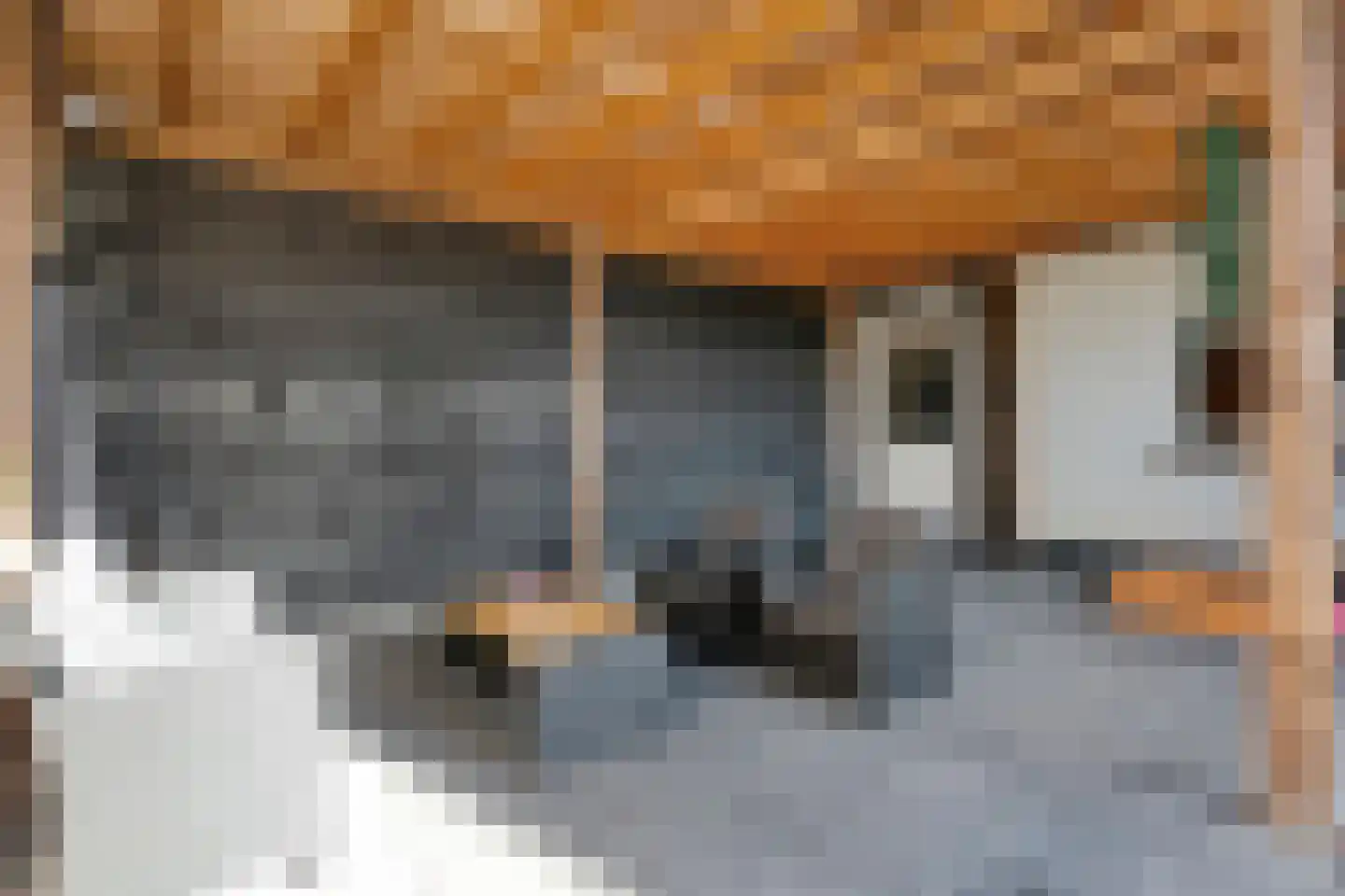 K de Raadstraat 27 Hoogeveen thumbnail 64