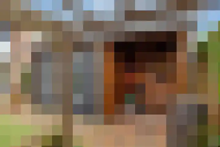 K de Raadstraat 35 Hoogeveen thumbnail 37