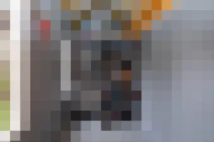 K de Raadstraat 35 Hoogeveen thumbnail 38