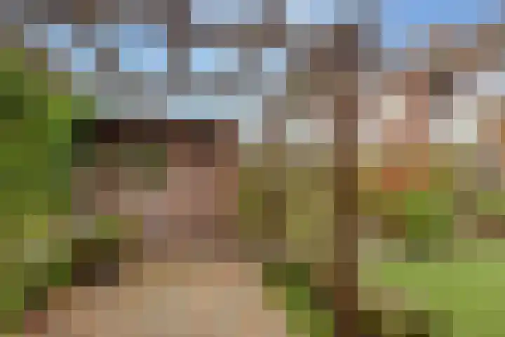 K de Raadstraat 35 Hoogeveen thumbnail 39