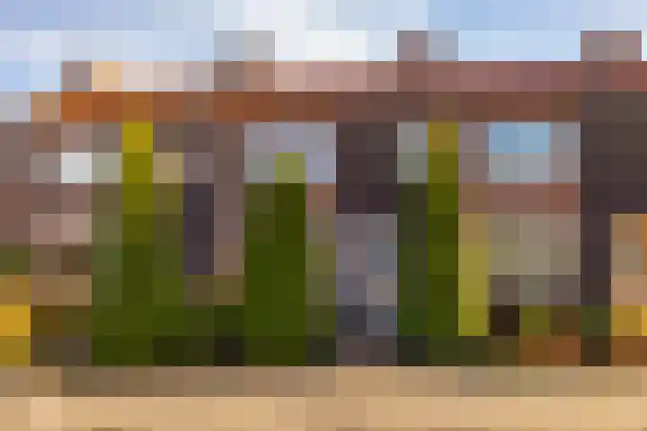 K de Raadstraat 63 Hoogeveen thumbnail 42