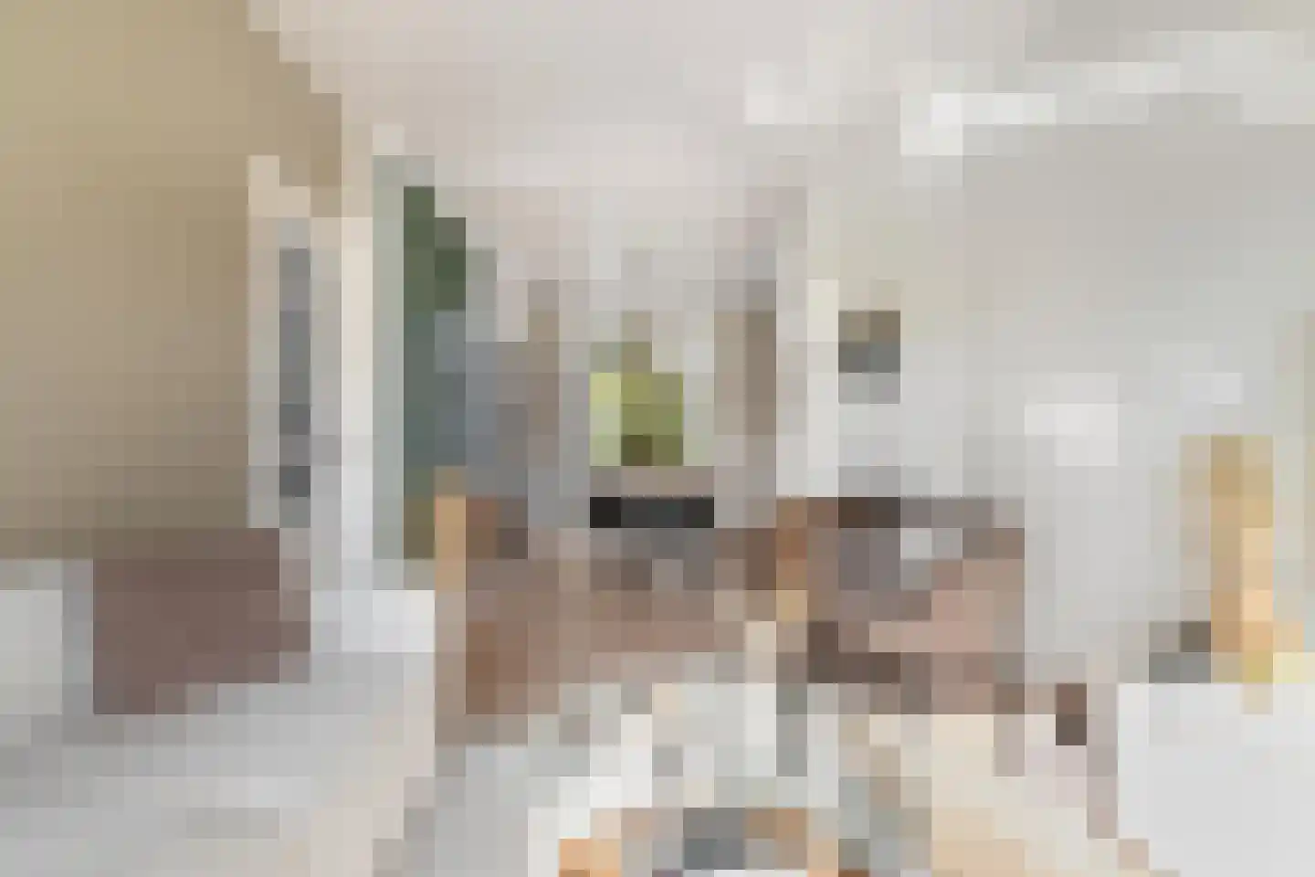 K. de Vriezestraat 49 Groningen thumbnail 11