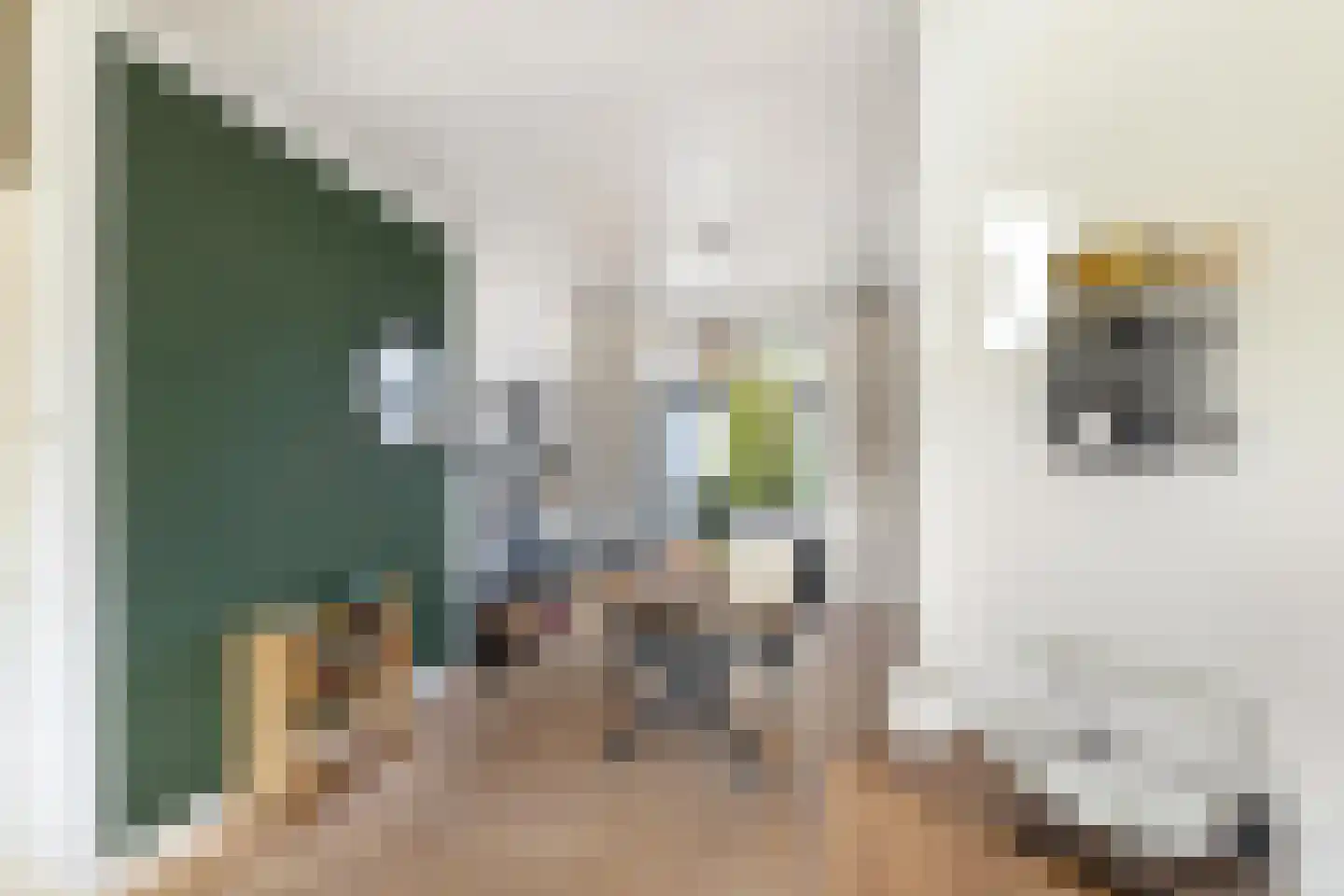 K. de Vriezestraat 49 Groningen thumbnail 12
