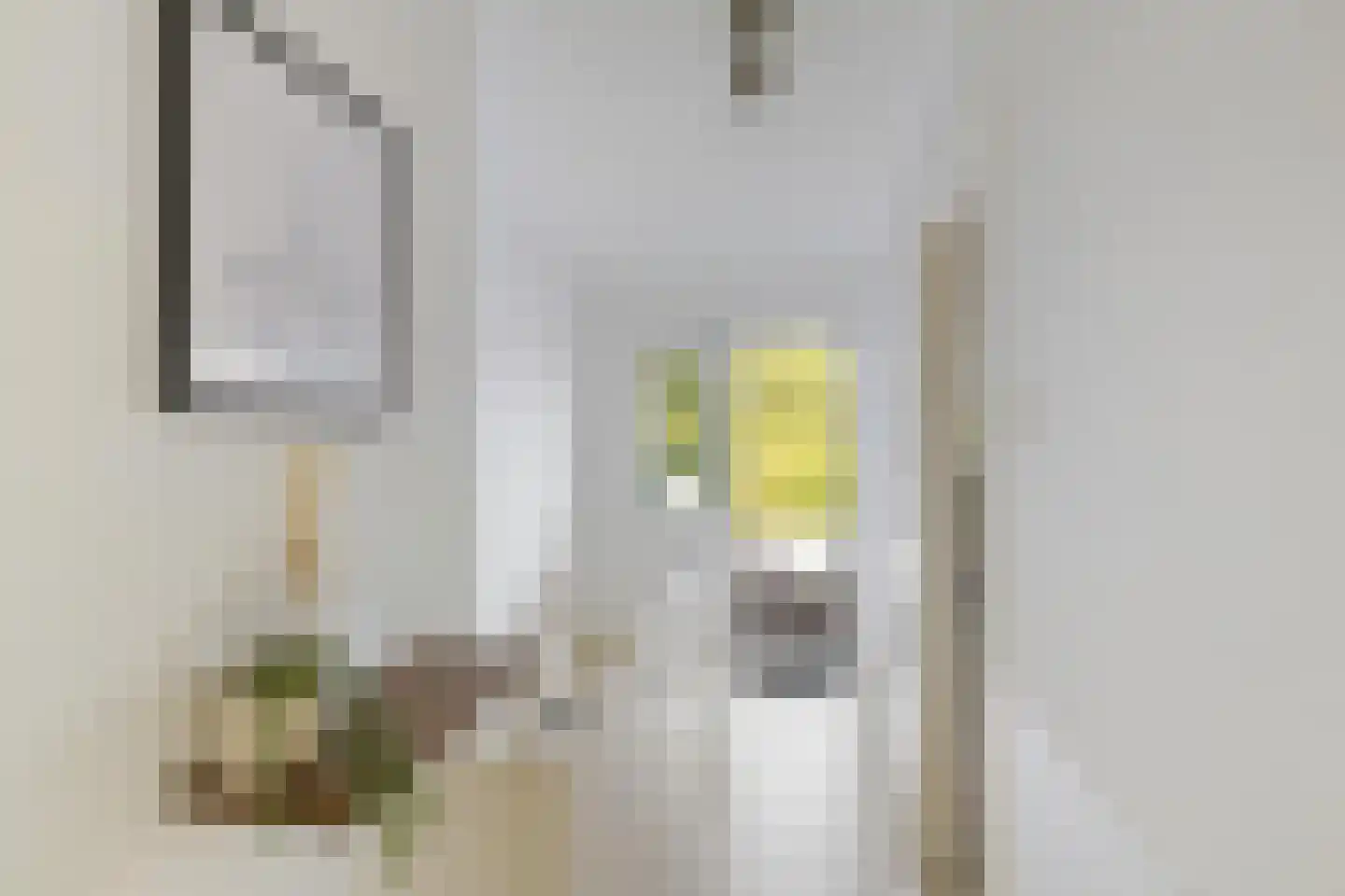K. de Vriezestraat 49 Groningen thumbnail 20