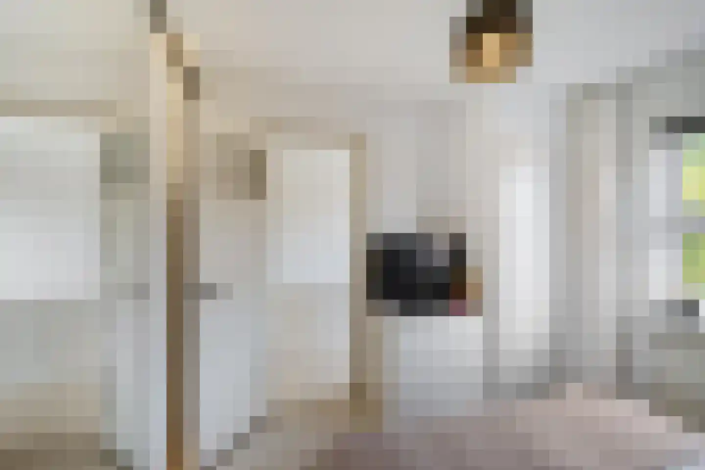 K. de Vriezestraat 49 Groningen thumbnail 22