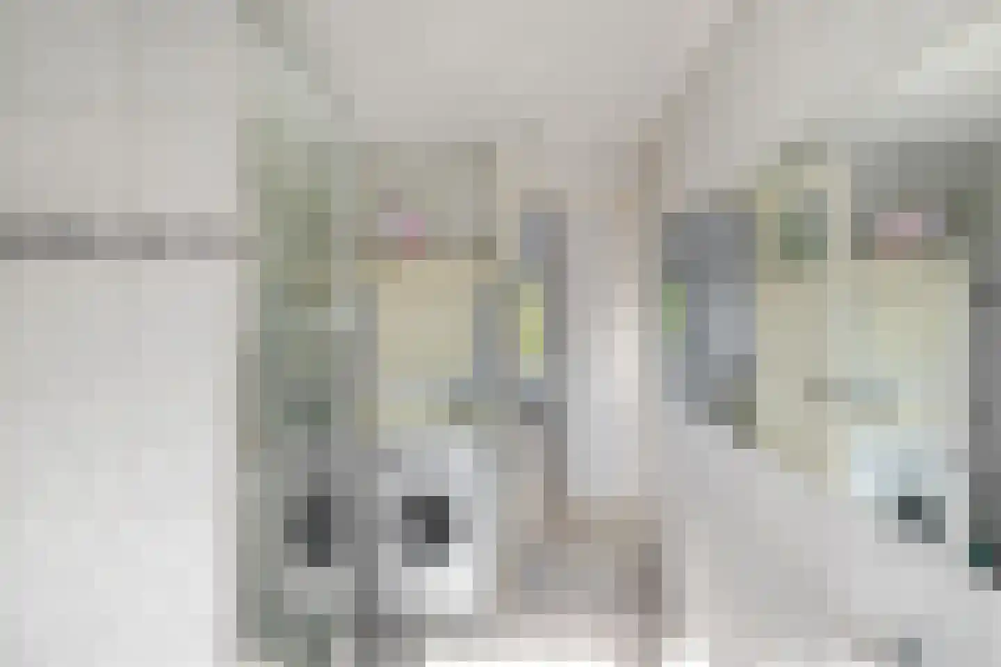 K. de Vriezestraat 49 Groningen thumbnail 25