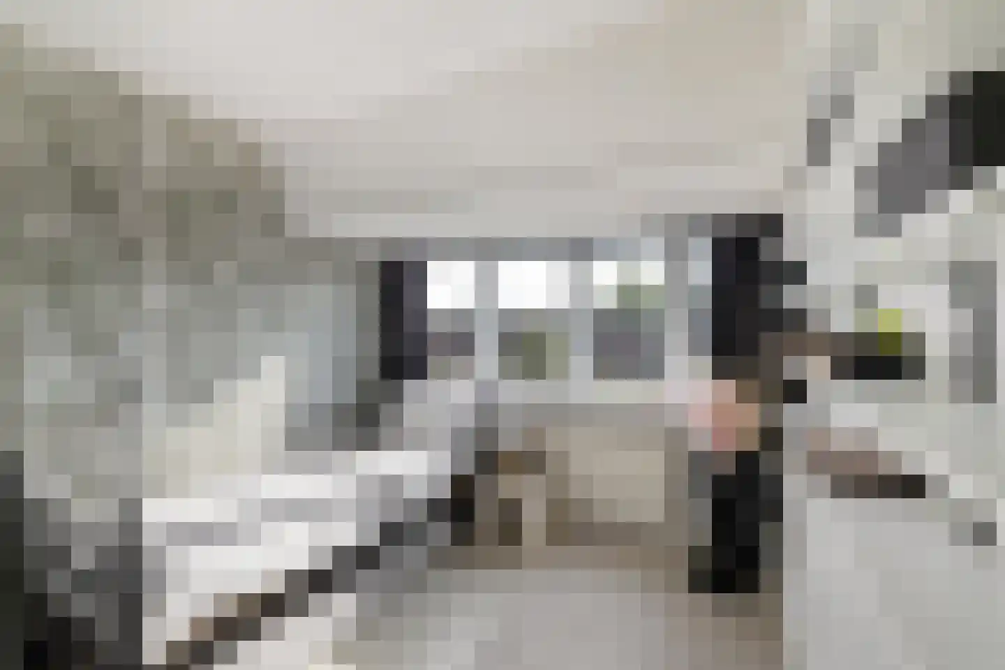 K. de Vriezestraat 49 Groningen thumbnail 26
