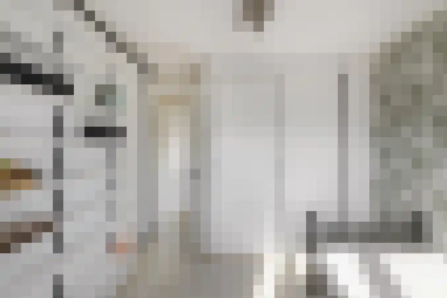 K. de Vriezestraat 49 Groningen thumbnail 27