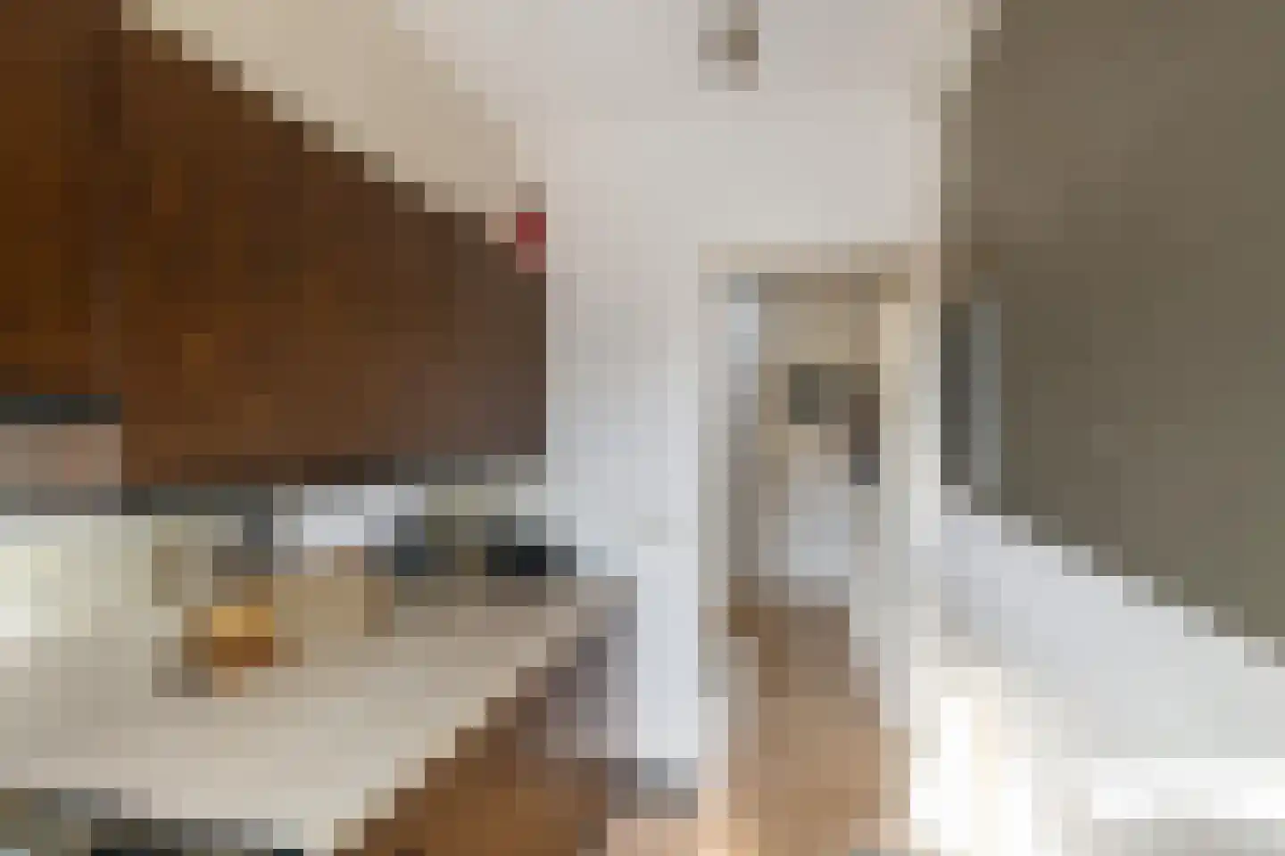 K. de Vriezestraat 49 Groningen thumbnail 7