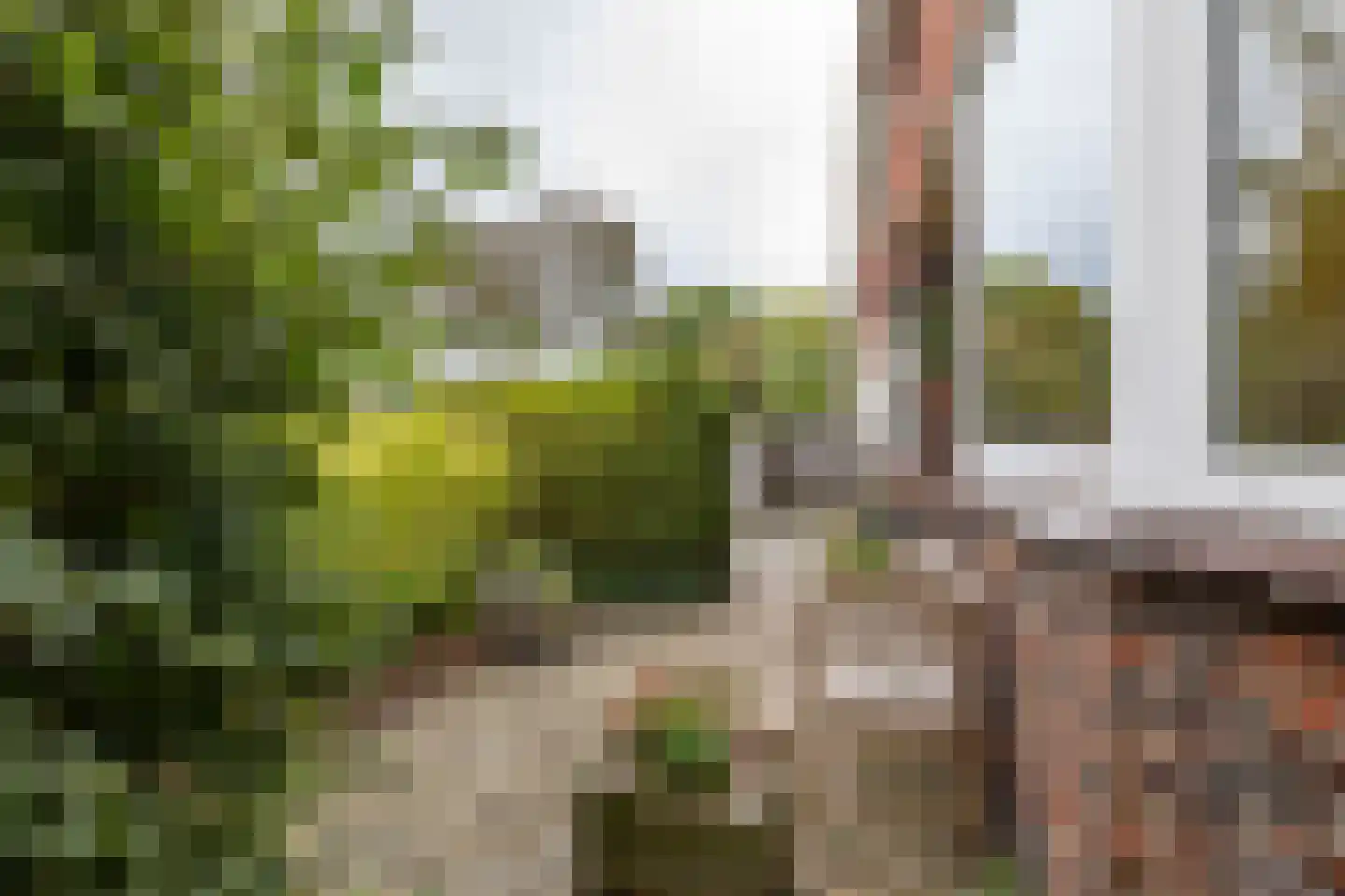 K. de Vriezestraat 52 Groningen thumbnail 13