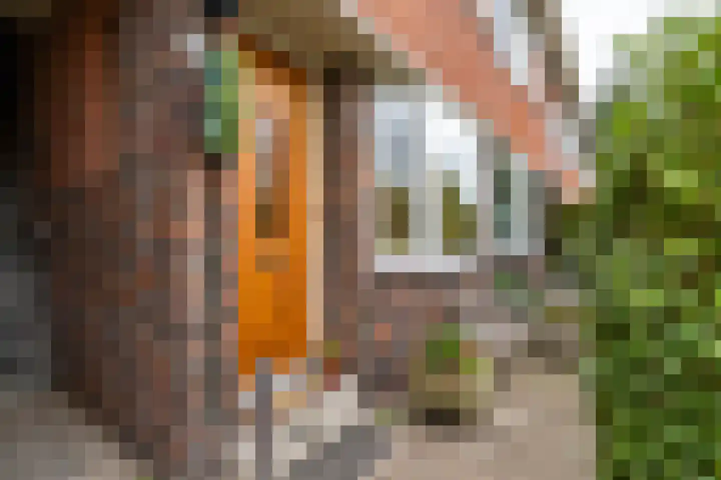 K. de Vriezestraat 52 Groningen thumbnail 14