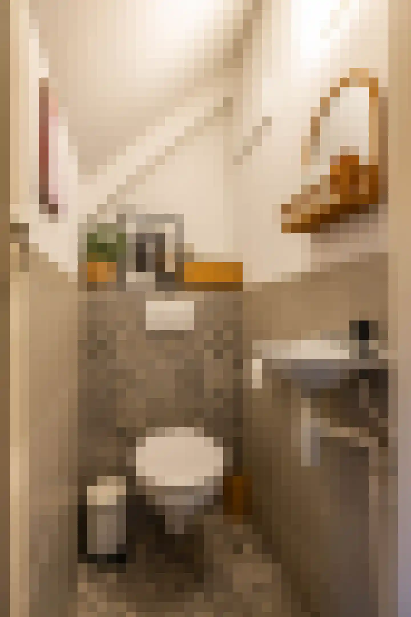 K. de Vriezestraat 52 Groningen thumbnail 21