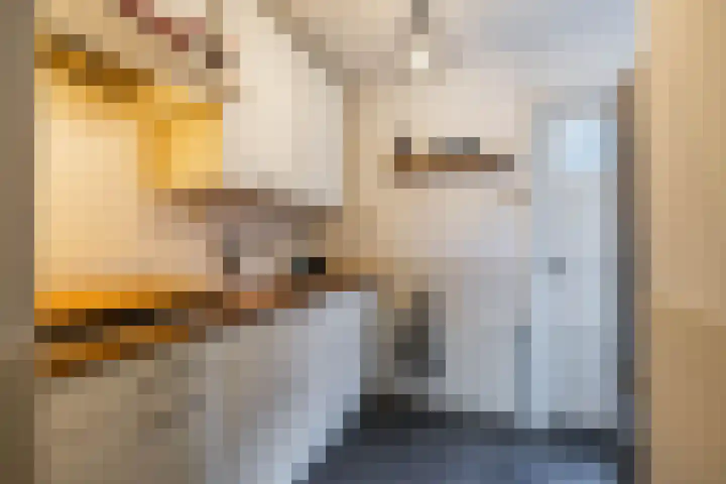 K. de Vriezestraat 52 Groningen thumbnail 35