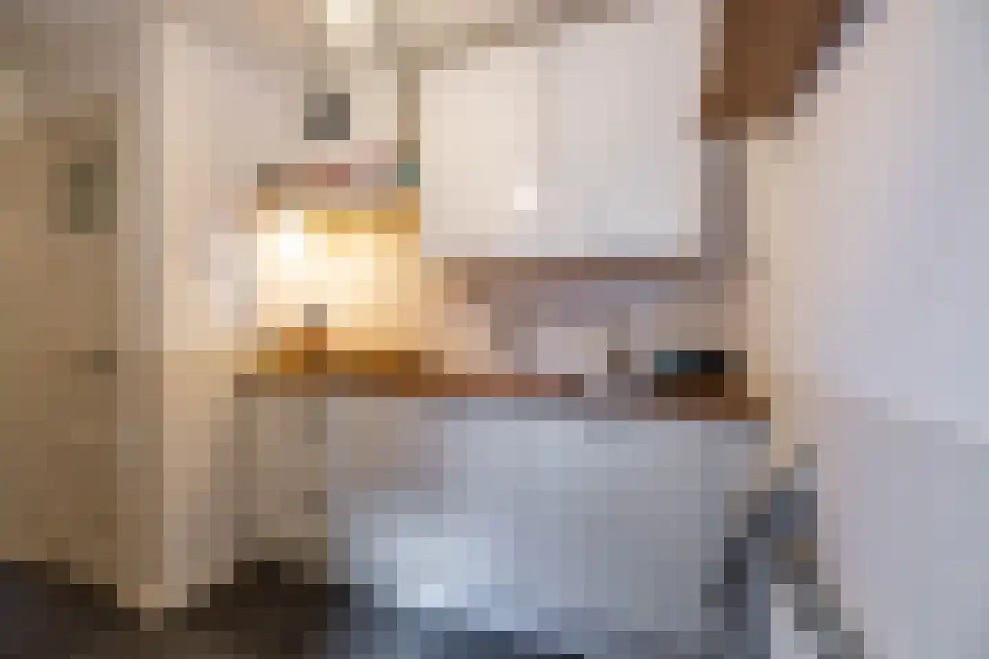 K. de Vriezestraat 52 Groningen thumbnail 36