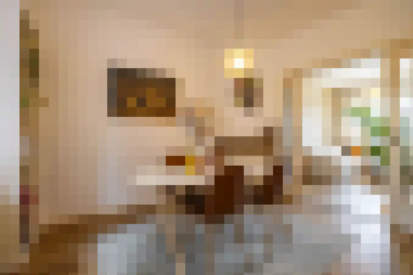 K. de Vriezestraat 52 Groningen thumbnail 5