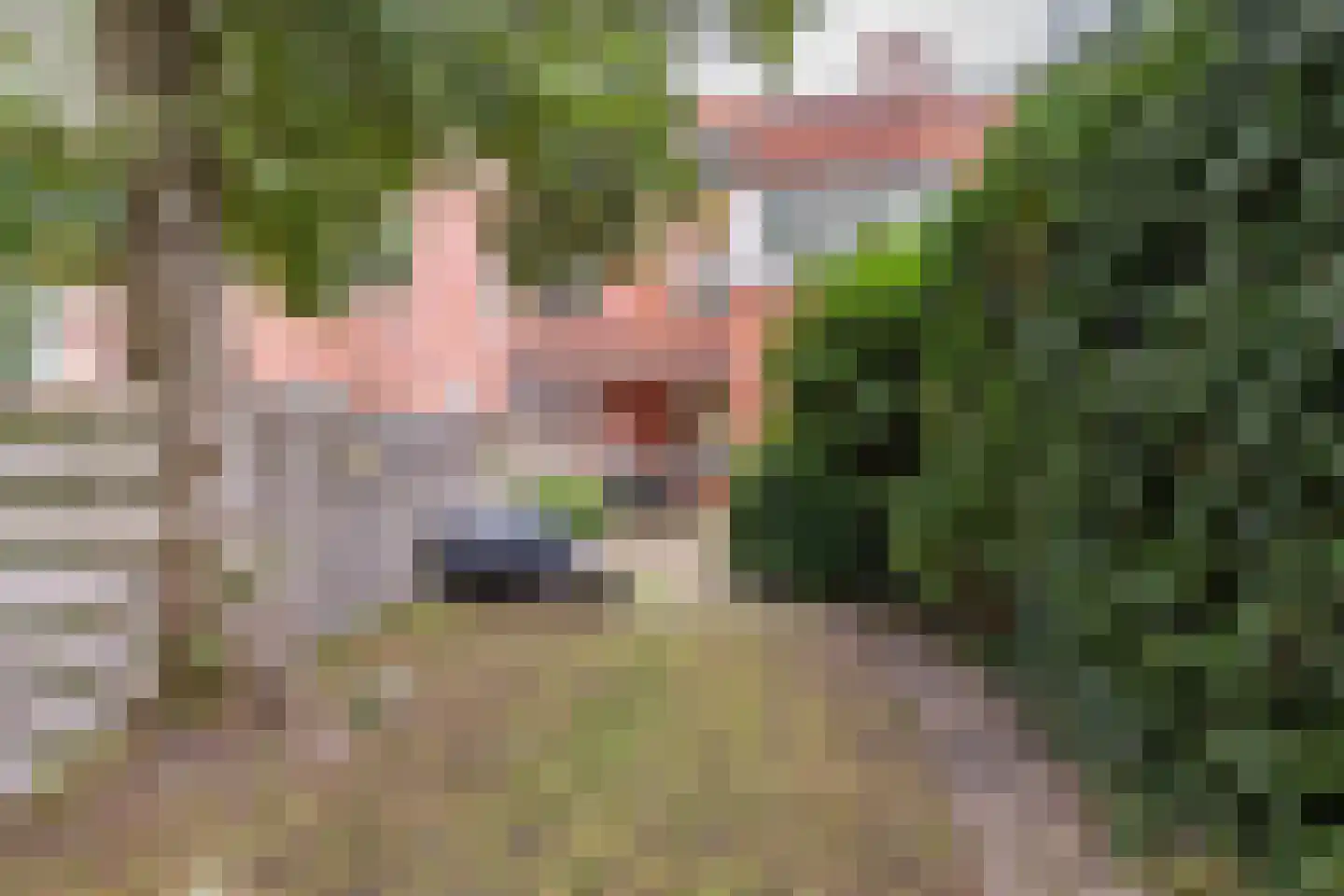 K. de Vriezestraat 52 Groningen thumbnail 57
