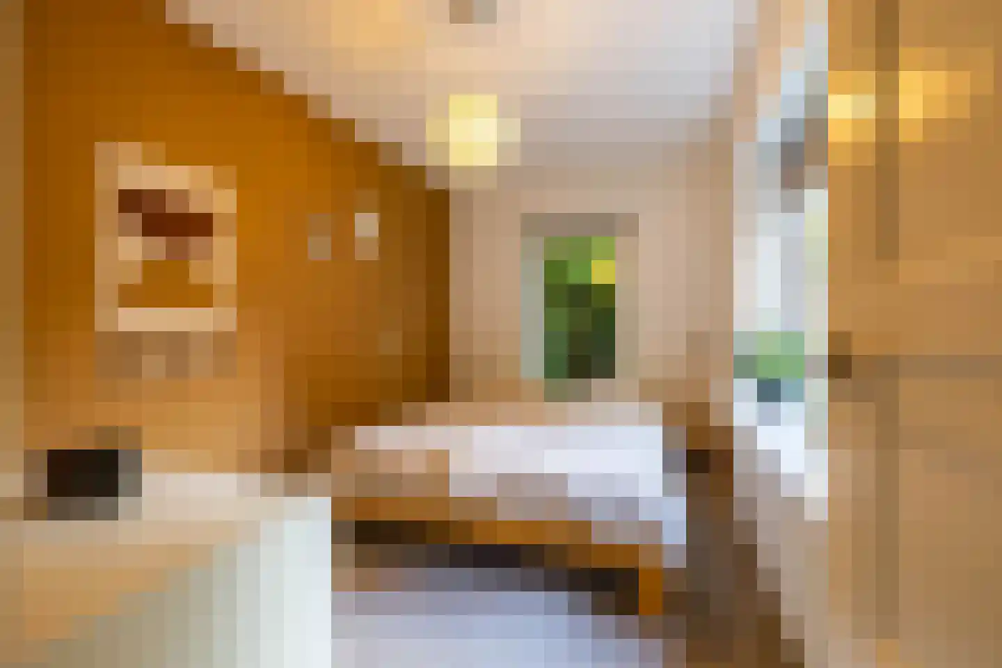 K. de Vriezestraat 52 Groningen thumbnail 6