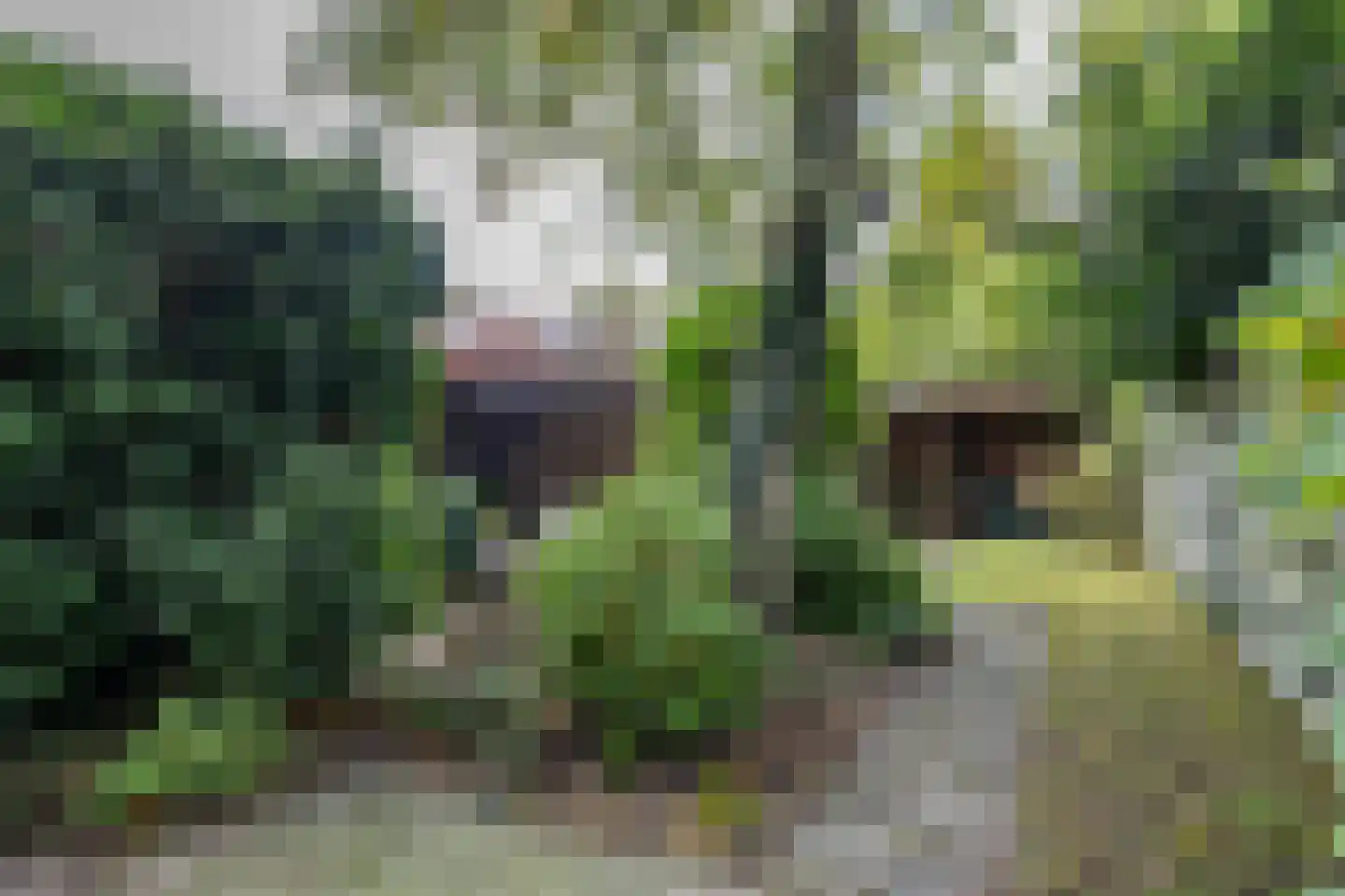 K. de Vriezestraat 52 Groningen thumbnail 8