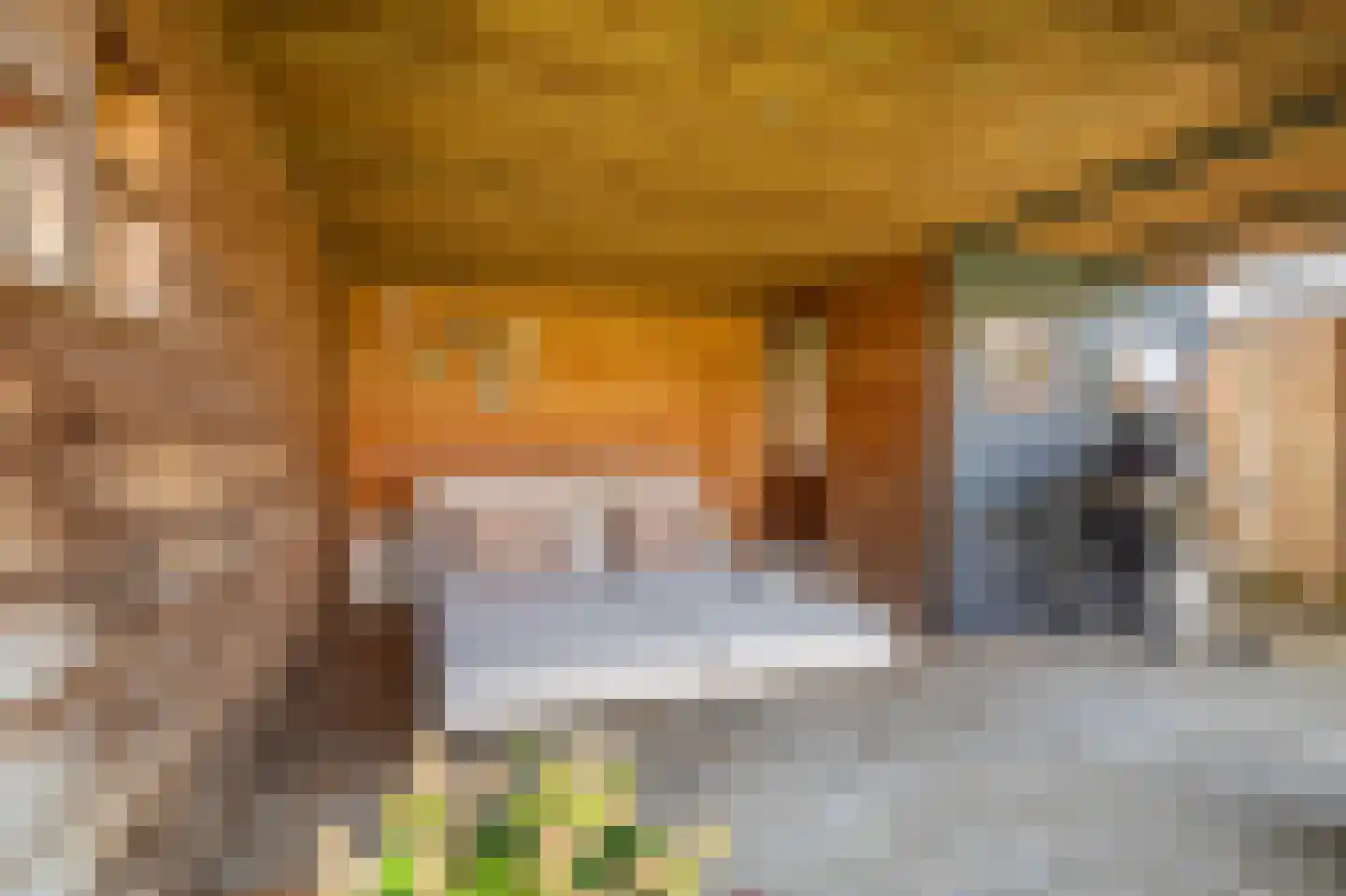 K. Doormanlaan 141 Winschoten thumbnail 38