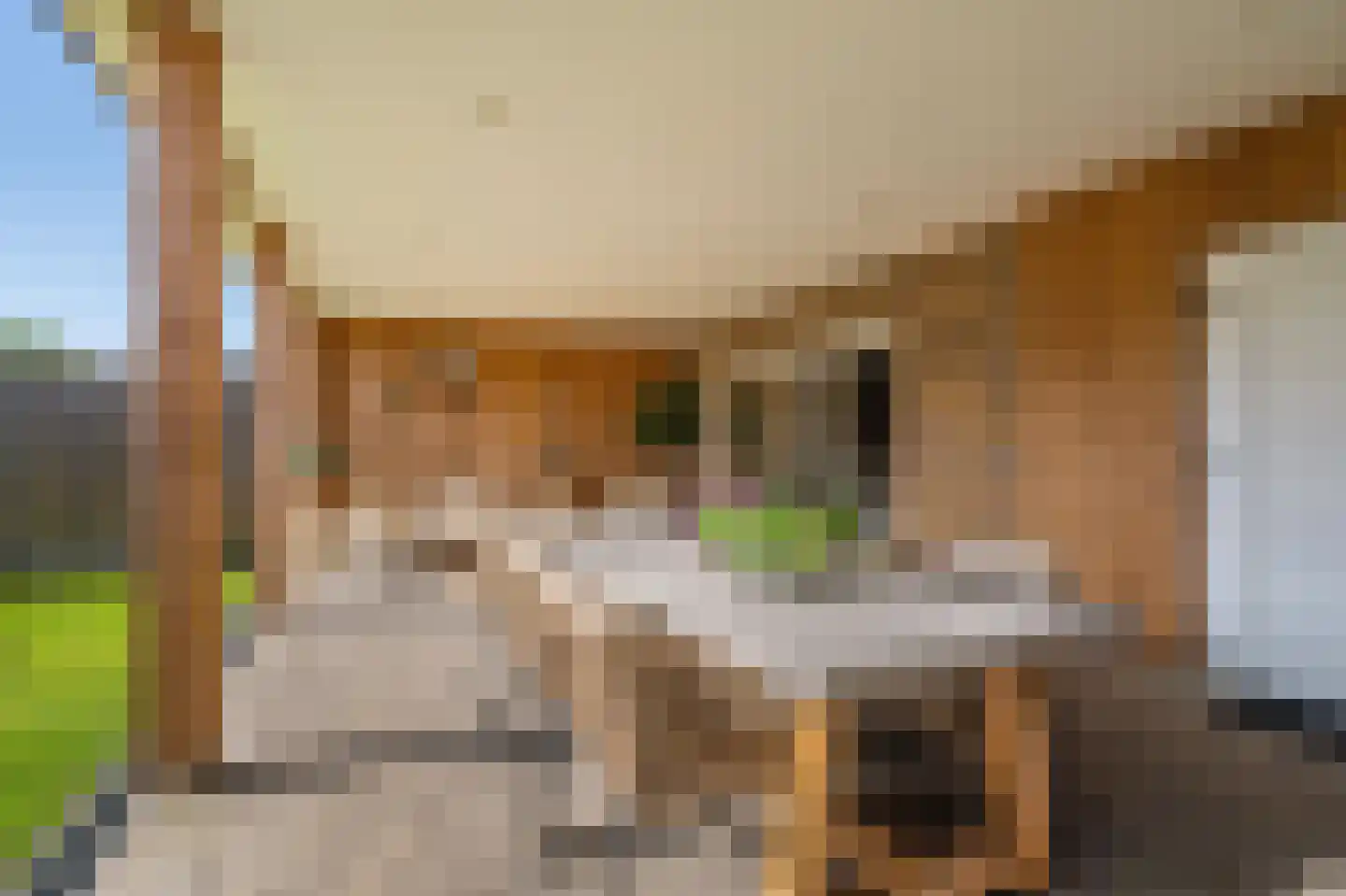 K. Doormanlaan 141 Winschoten thumbnail 43