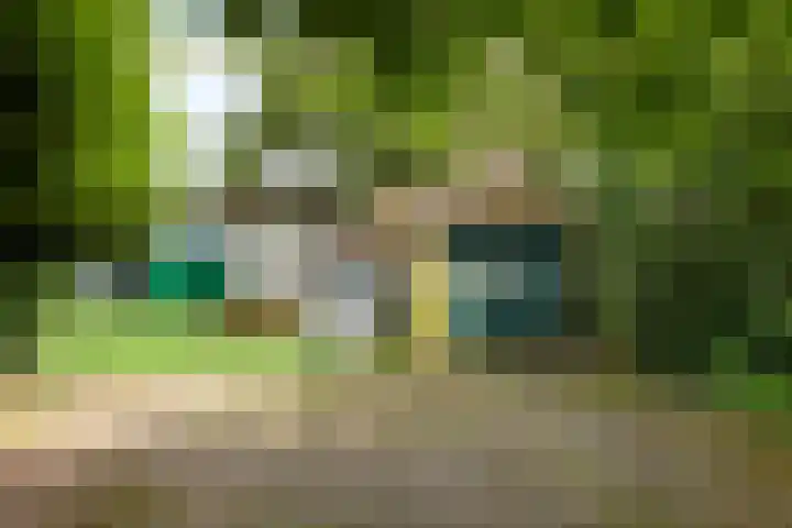 K.J. de Vriezestraat 63 Wildervank thumbnail 40